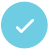 Check Icon